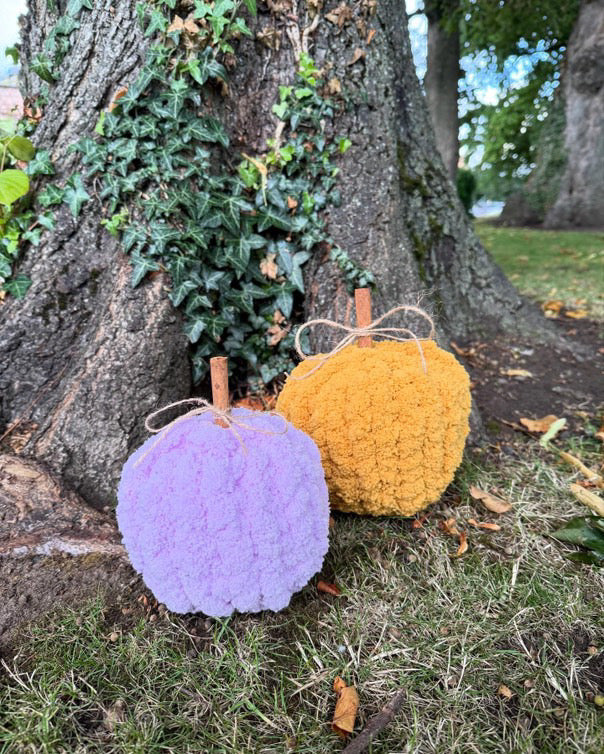Cinnamon Pumpkin Video Tutorial